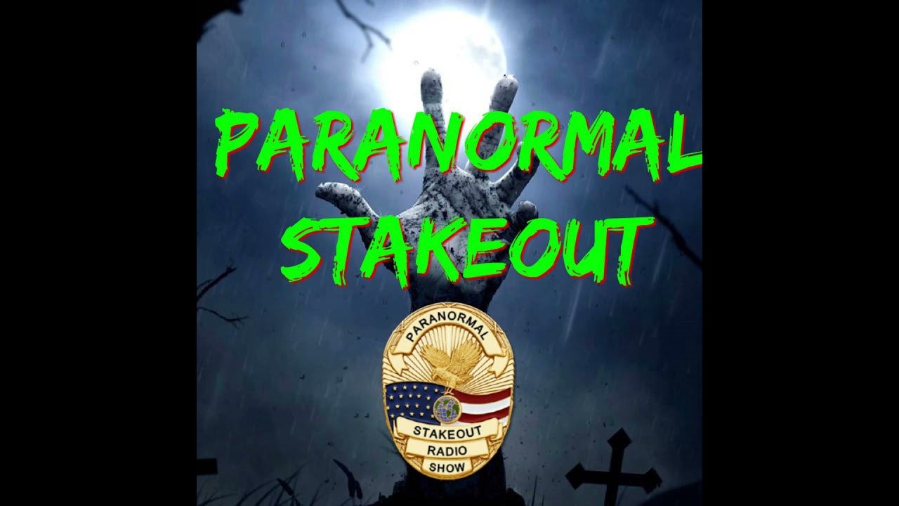 PSO: Steven D Kelly - Aliens Are Eating Our Missing Children
