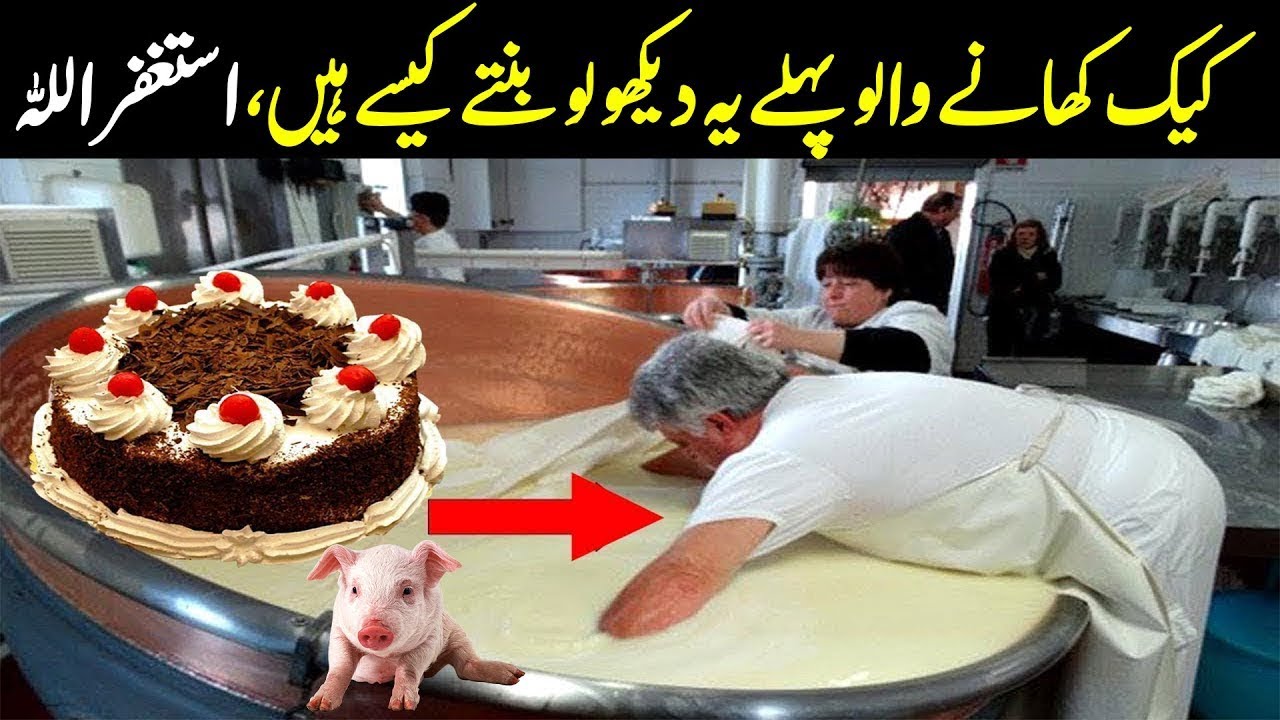 Inside The Ready Meal Factory || Crazy Food Industry Machines