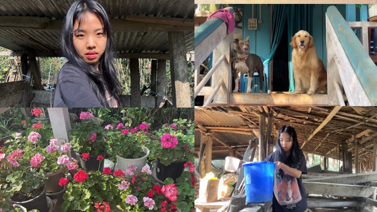 A day in my life in Pangin, Arunachal Pradesh with my two babiess 