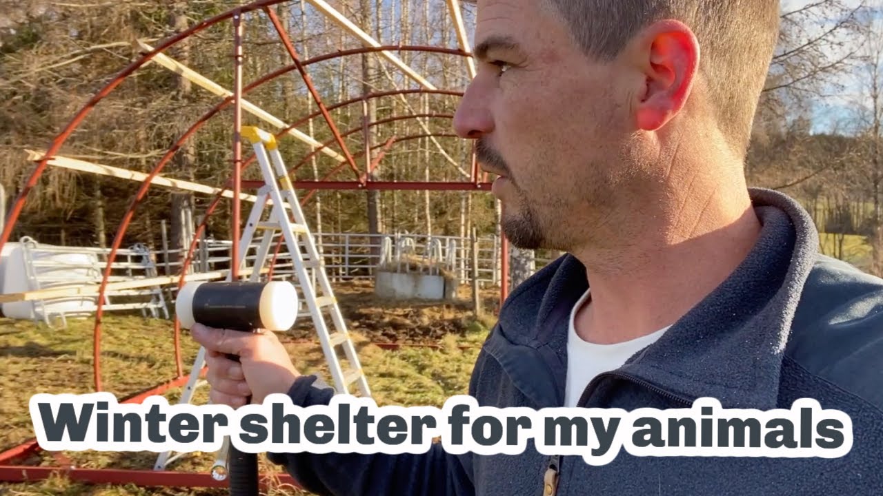 A new cow shelter and planning for winter grazing