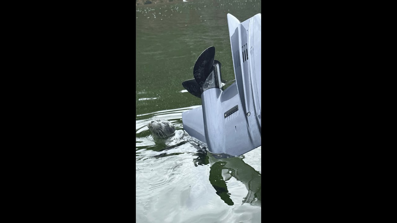 Friday Night Video: Imagine Finding This