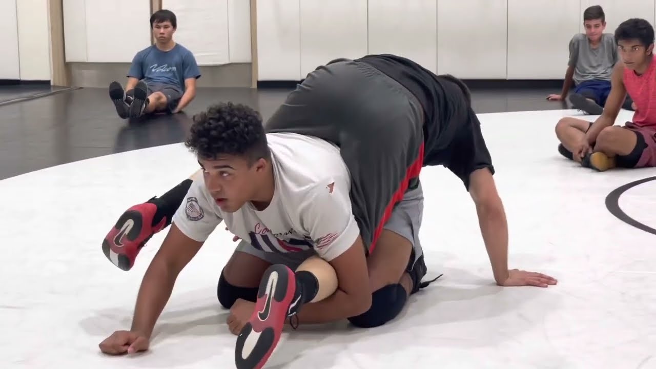 Leg Passes and Dive Rolls