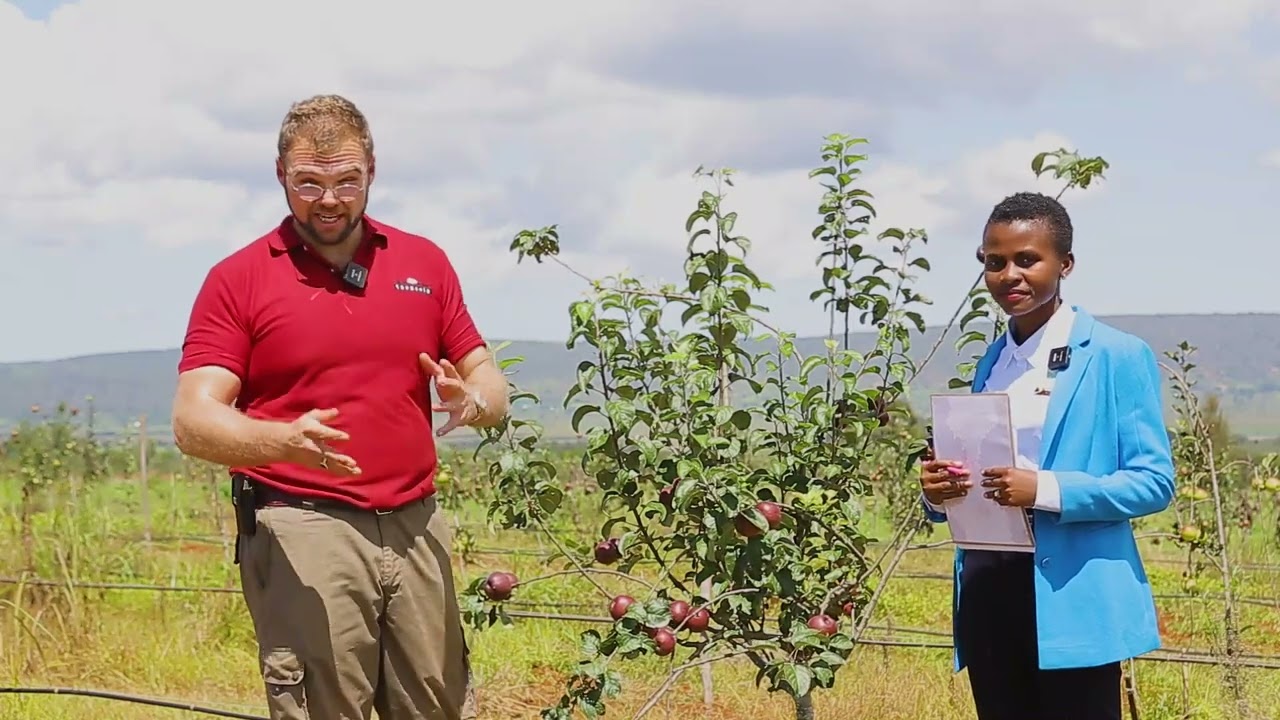 Choose the right apple varieties for your business 🍎🍏