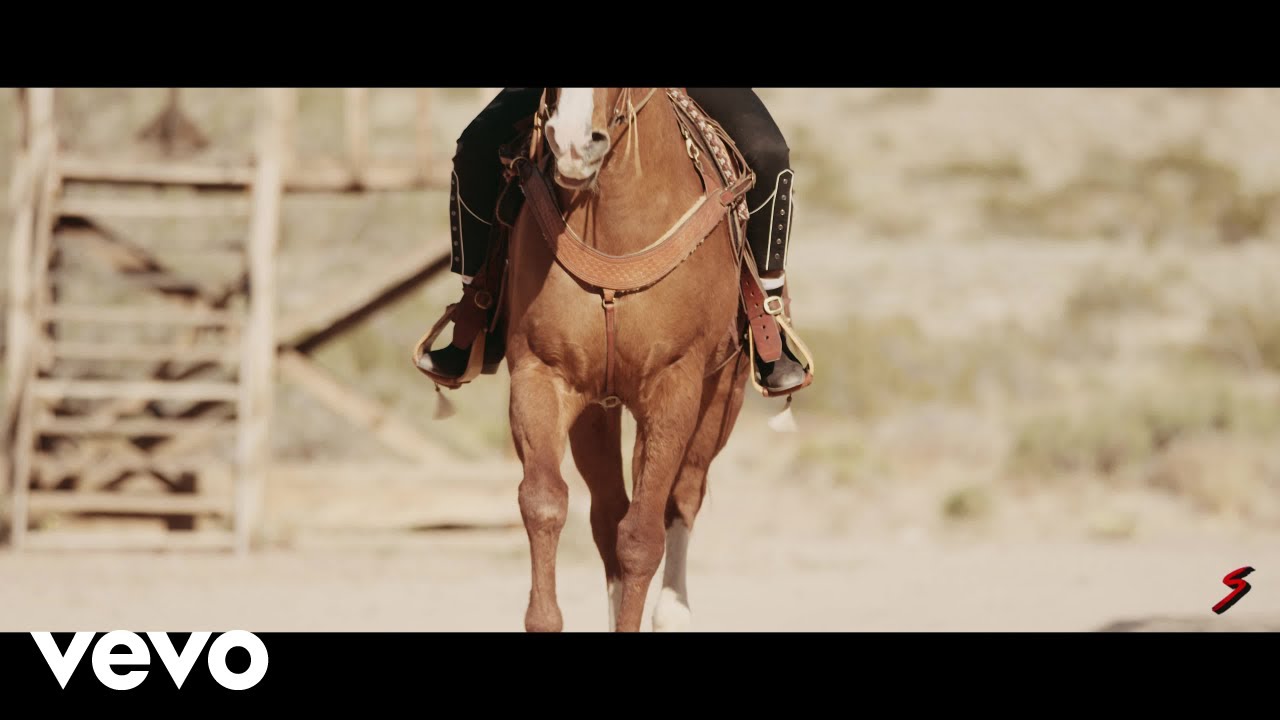 poodeezy - Gang (Official Video) video edit