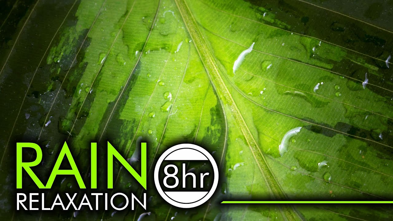 8 Hours of Peace  |  100% Real Rain Sound NO MUSIC for Relaxation and Sleep