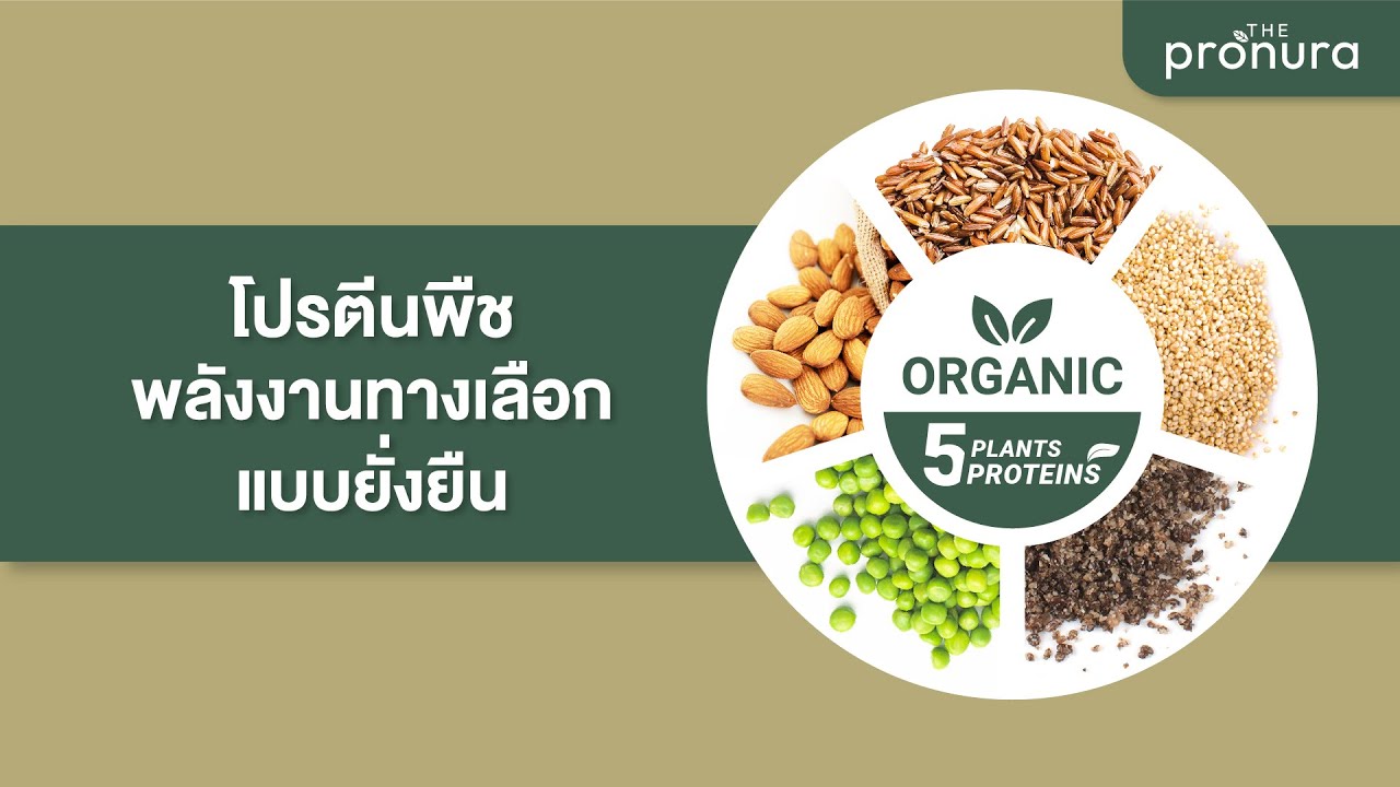 โปรตีนพืช พลังงานทางเลือกแบบยั่งยืน | The Pronura โปรตีนพืชออร์แกนิค