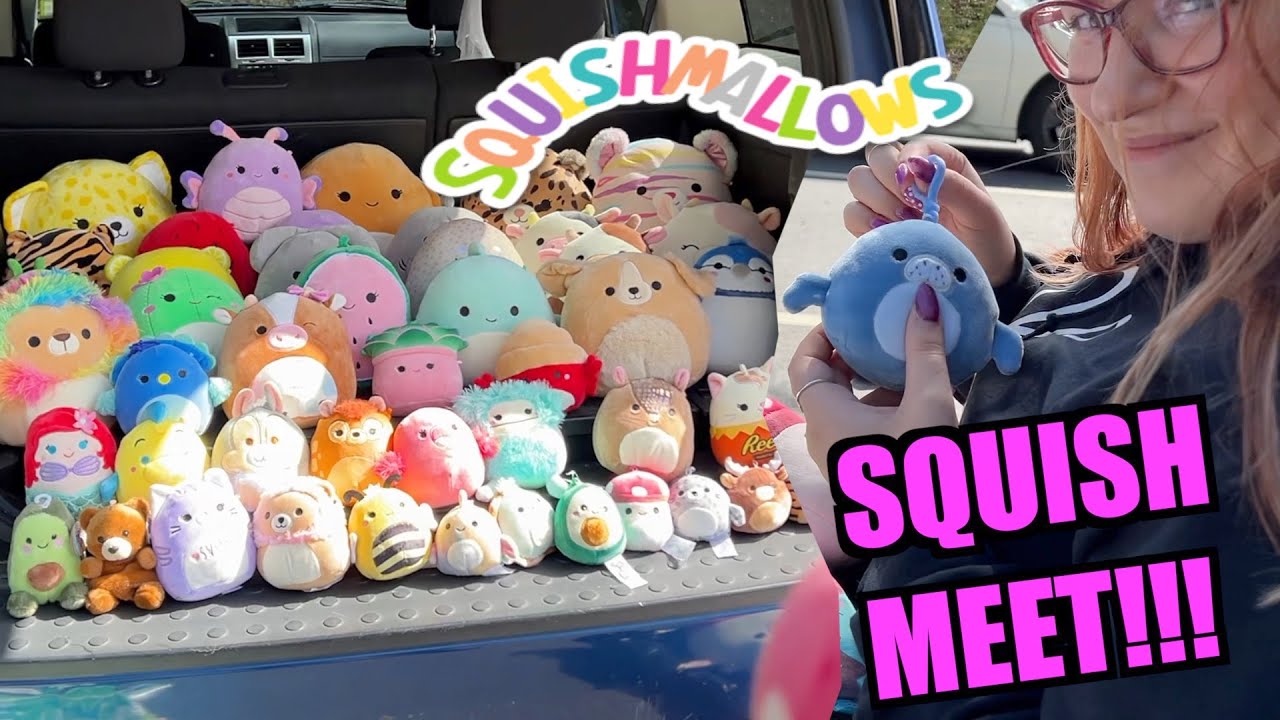 Going to our FIRST EVER SQUISH MEET! (Squishmallow Hunting Event)