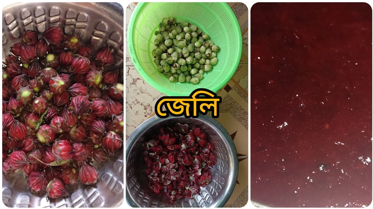  নতুন রেসিপি ফৈইলফার গোটা দিয়ে জেলি #ভাইরাল ##bdkitchen #cooking #food #foodpreparation #