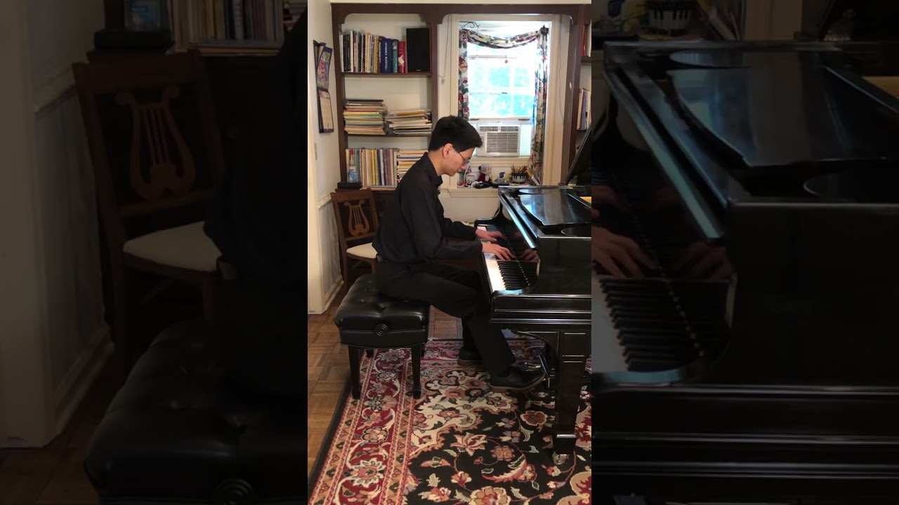 Dohnanyi Capriccio in B minor Op. 2 No. 4