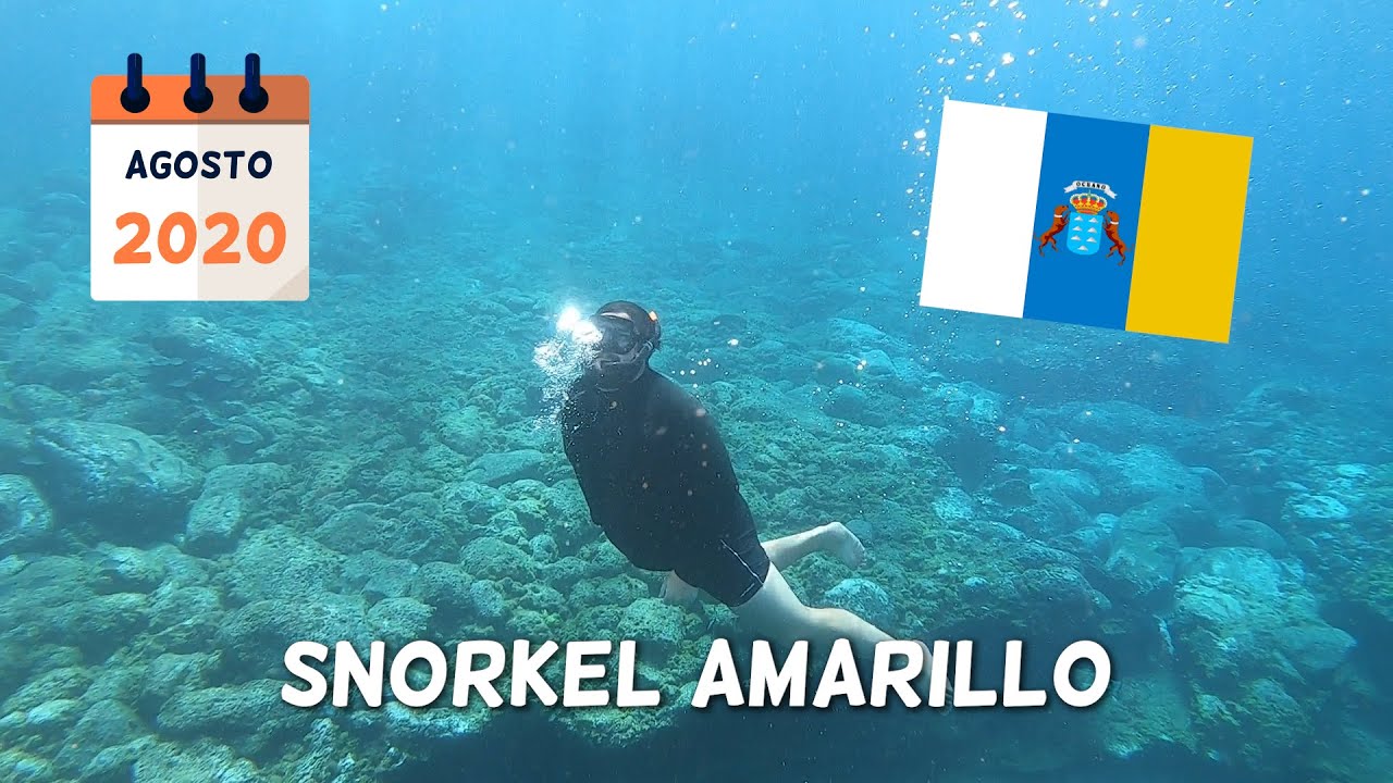Snorkel Montaña Amarilla | Tenerife | Queridos Lugares