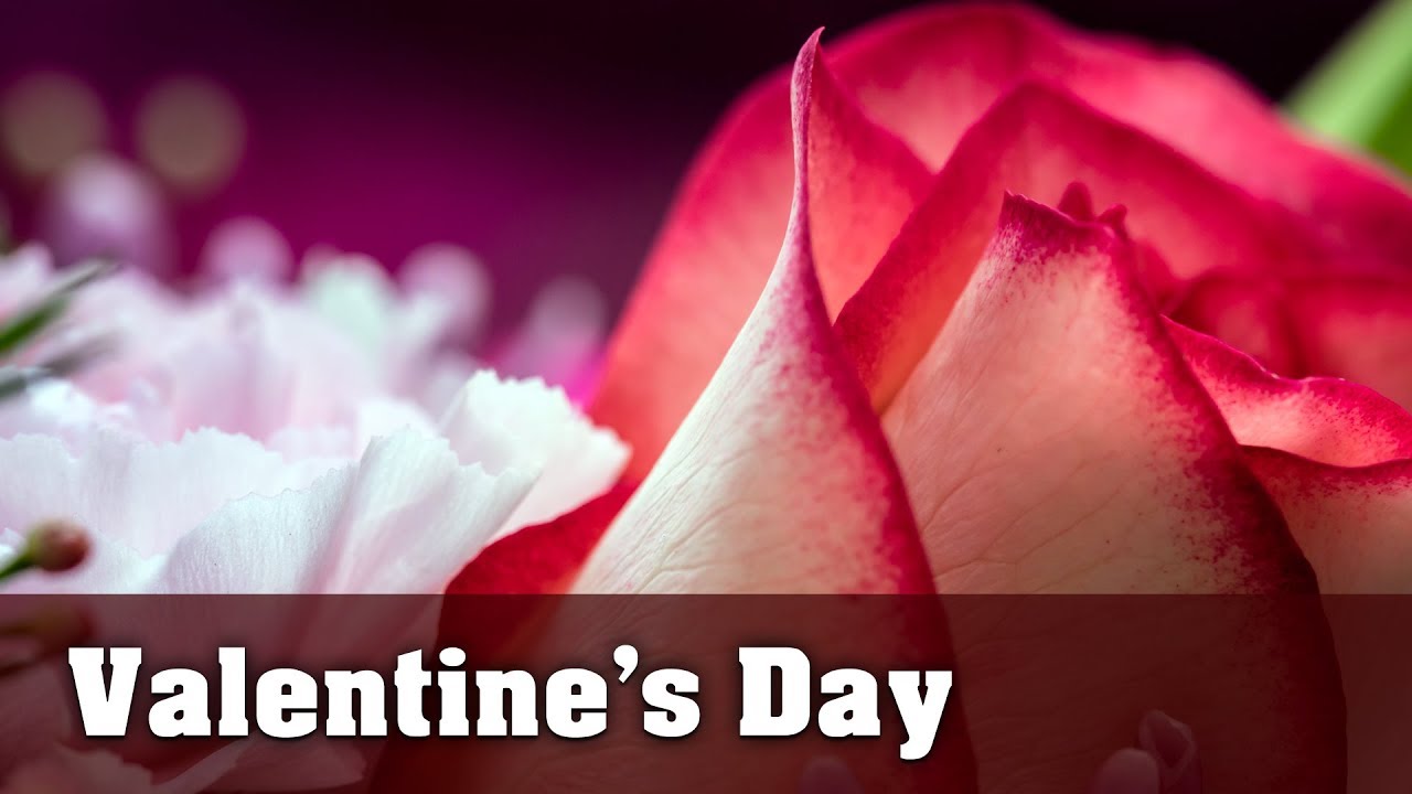 Macro Photos: Valentine's Day Flowers and Chocolate - EP10