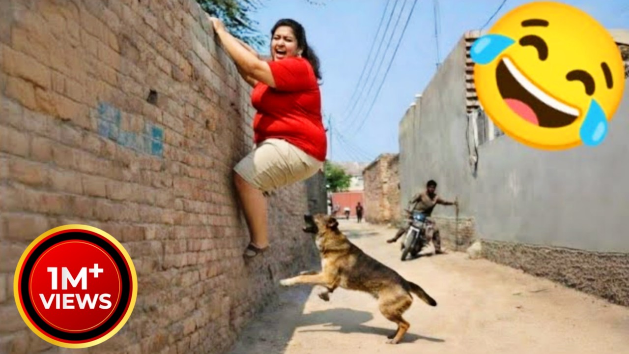 Best Funny Videos Ever In The World 🤣 | #V3 | Funny