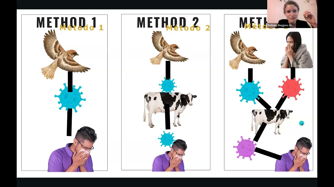 Bird Flu: Politics & Preparation // Gripe aviar: Política y preparación