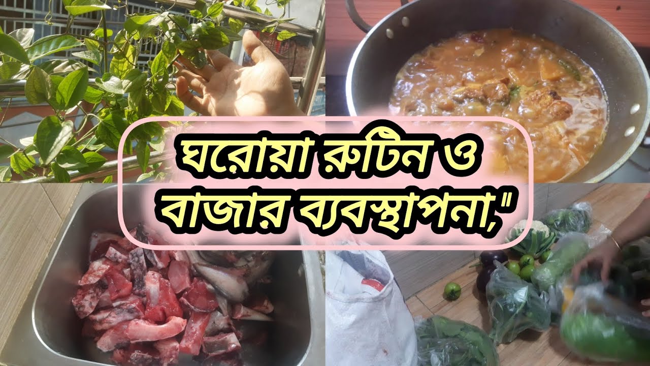 পরিকল্পিত দিনে, প্রশান্তিময় জীবন!আমার ব্যস্ত সকাল থেকে সন্ধ্যা | Daily Routine Vlog#Sumabegum#foryou