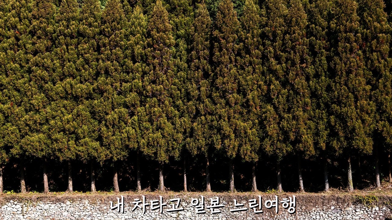 내 차타고 일본 느린여행 5일차 조선도공의 얼이 담긴 도자기마을과 미치노에키 곤충마을