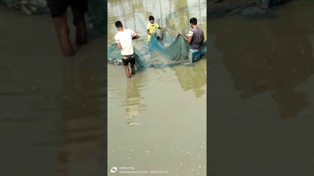 fishing time #fishing #trending #vlog #viral #shorts #video 