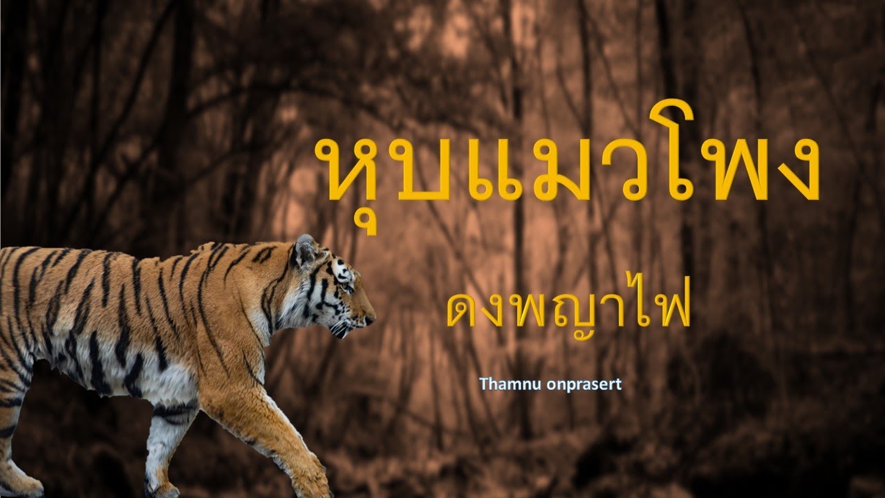 หุบแมวโพง ดงพญาไฟ
