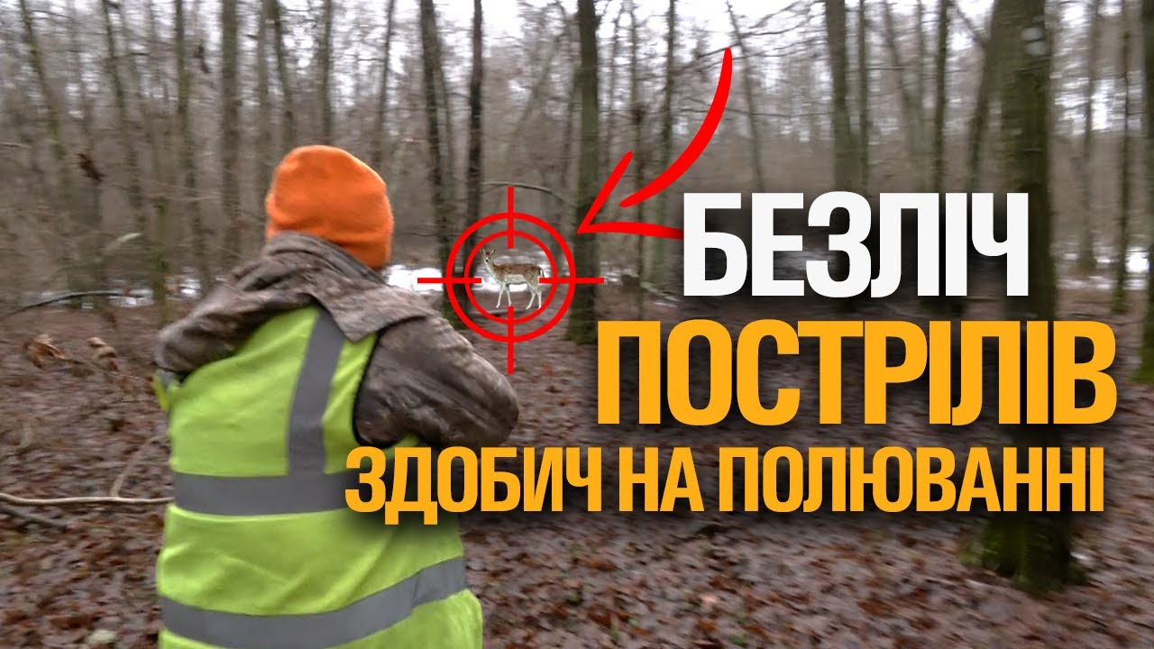 ЗДОБИЧ НА ПОЛЮВАННІ ✔ БЕЗЛІЧ ПОСТРІЛІВ  ✔ НЕЙМОВІРНІ ВІДЧУТТЯ. МГ 
