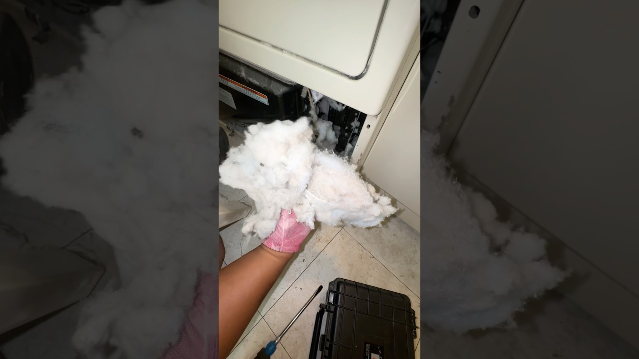 The Lint backed right into the Dryer! This is one of the Most Extreme Cases we&rsquo;ve ever seen! ☠️🔥