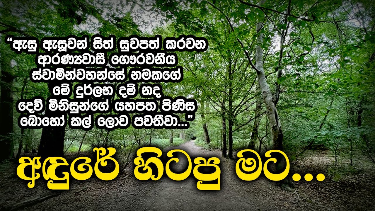 අඳුරේ හිටපු මට... | Samma Ditthi UK