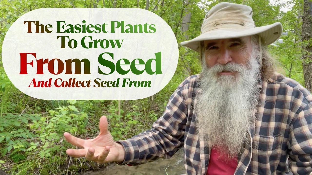 The EASIEST VEGETABLES to Grow from SEED & HARVEST Seed From -  START YOUR PERMACULTURE FOOD FOREST!