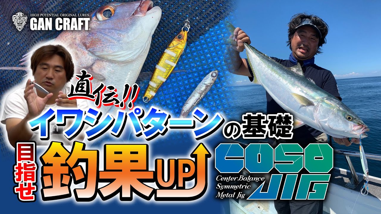 紀北 の イワシパターン の 釣り方 教えます