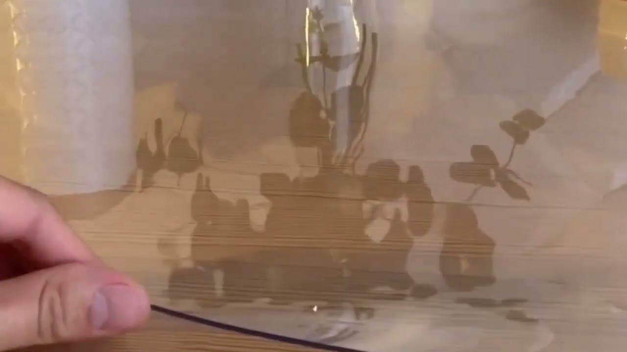 Soft Glass