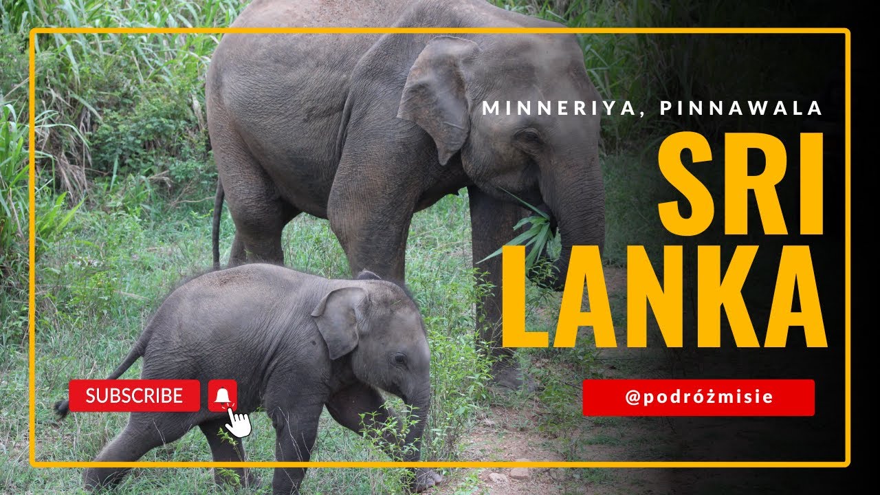 Sri Lanka (cz.2) - Minneriya, Pinnawala