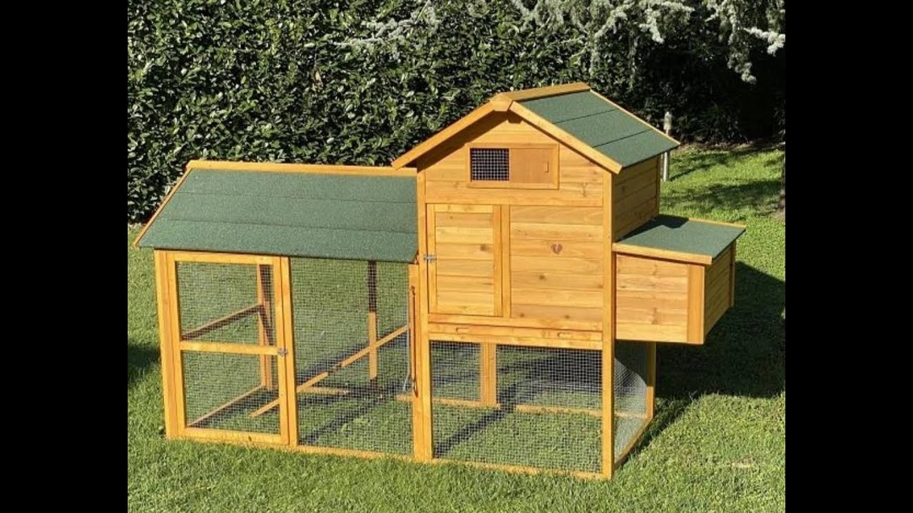 ARRIVANO LE GALLINE IL GALLO E MONTIAMO IL POLLAIO