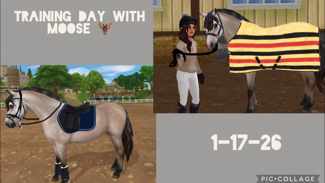 Training day with Moose! 🫎 #fypシ゚viral #sso #starstable #mustwatch #viral 