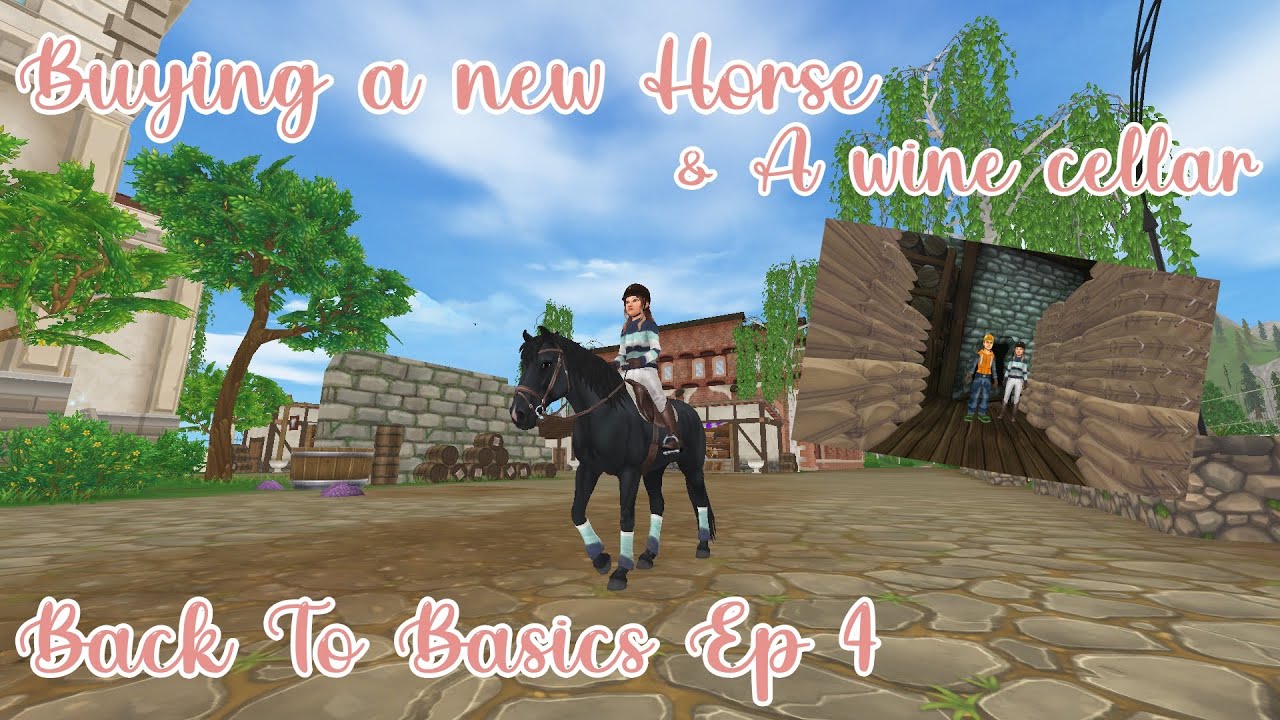 Back to basics|| Ep 4 Buying a new horse & A wine cellar