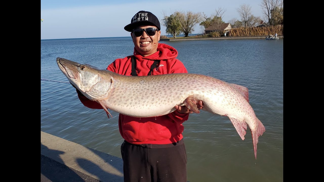 Getting CRUSHED by a GIANT Lake St.Clair Musky - Lake St.Clair Fishing