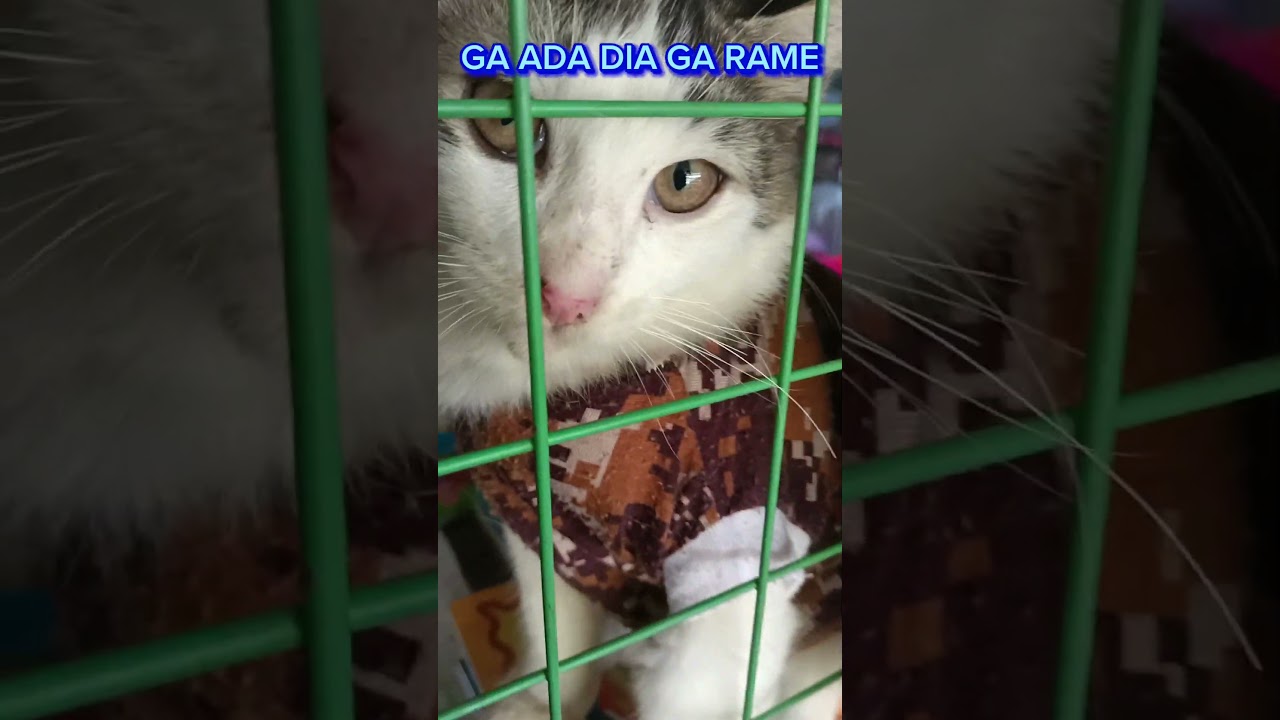 GA ADA DIA GA RAME 
