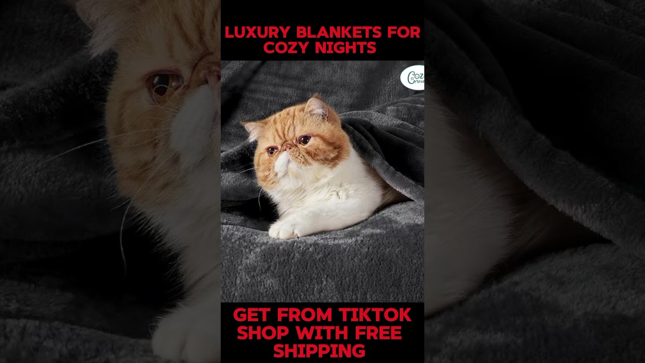 #BlanketObsession #HomeStyleUK #ChillOutZone #HyggeVibes #ComfyLiving