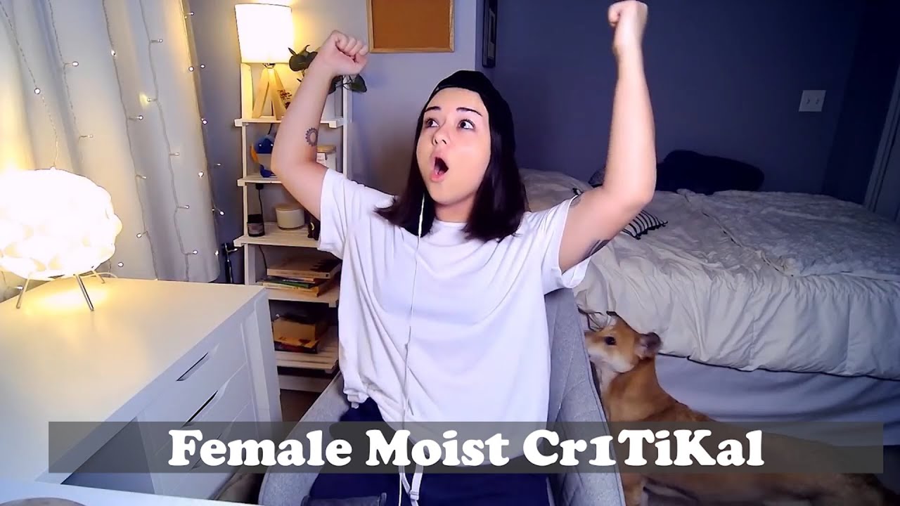 All Moist Critical 