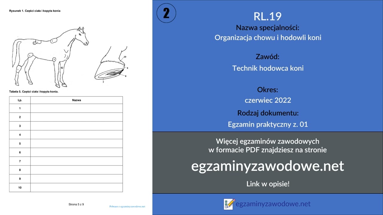 Egzamin zawodowy praktyczny z. 01 RL.19, Organizacja chowu i hodowli koni, czerwiec 2022
