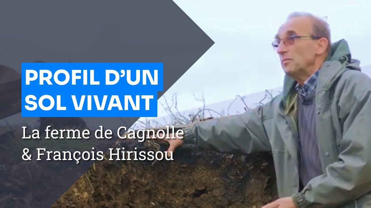 Profil d'un sol vivant avec François Hirissou @La Ferme de Cagnolle
