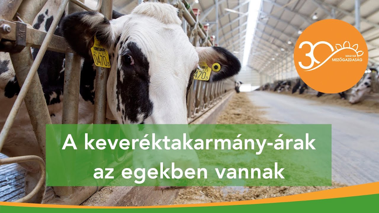MMG - A jó takarmány titka