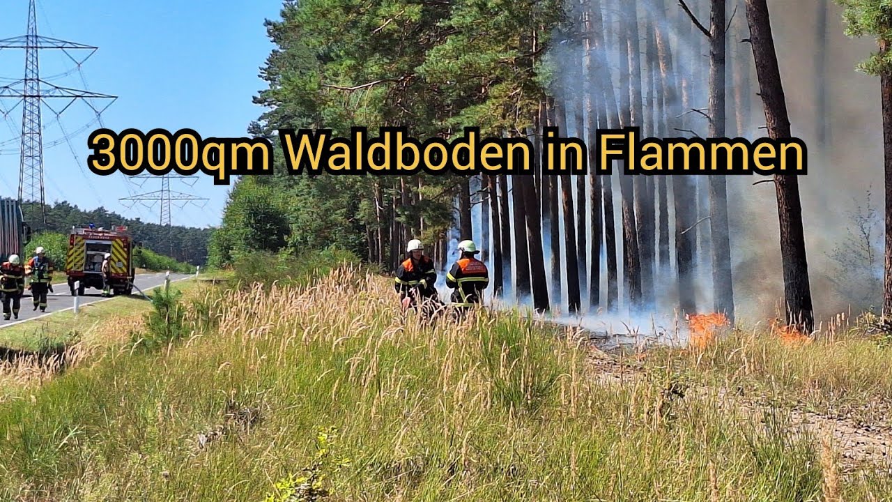 Waldbrand bei Buko - Flammen lodern auf 3000Qm nähe der A9! Feuerwehren im Einsatz