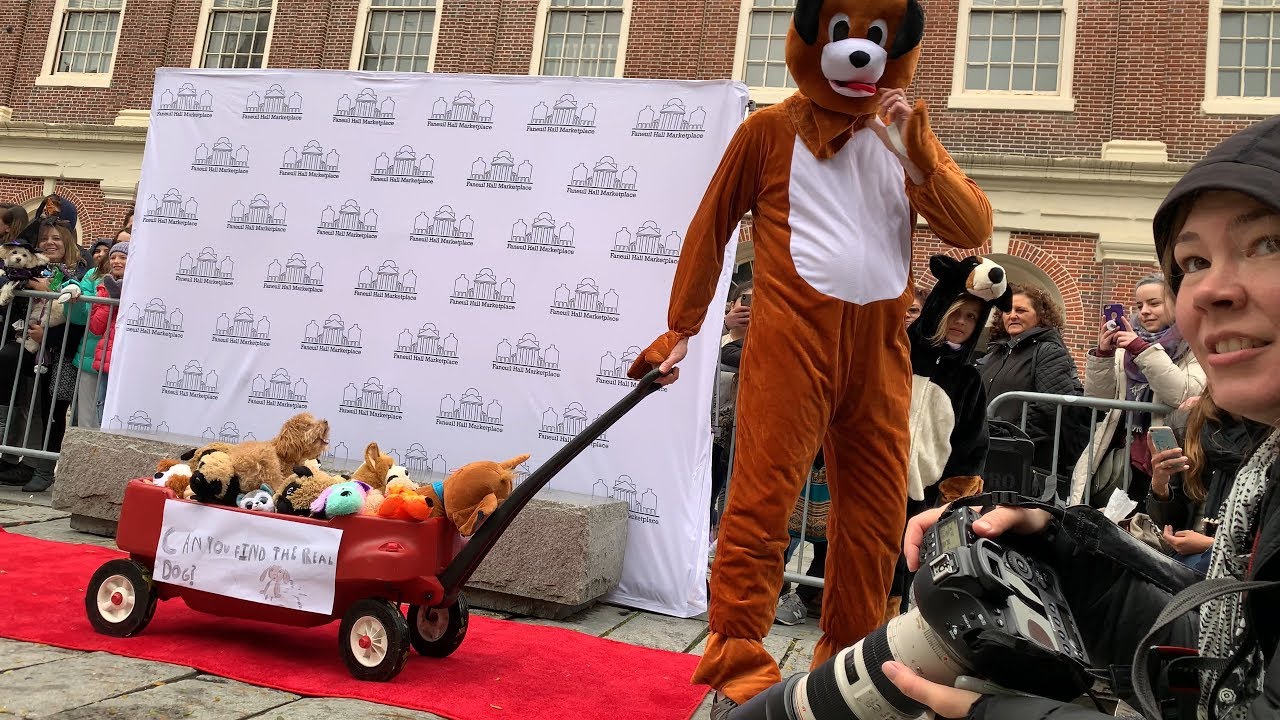 Apple iPhone XS - 4K 60fps - 2018 Halloween Pet Parade and Costume Contest