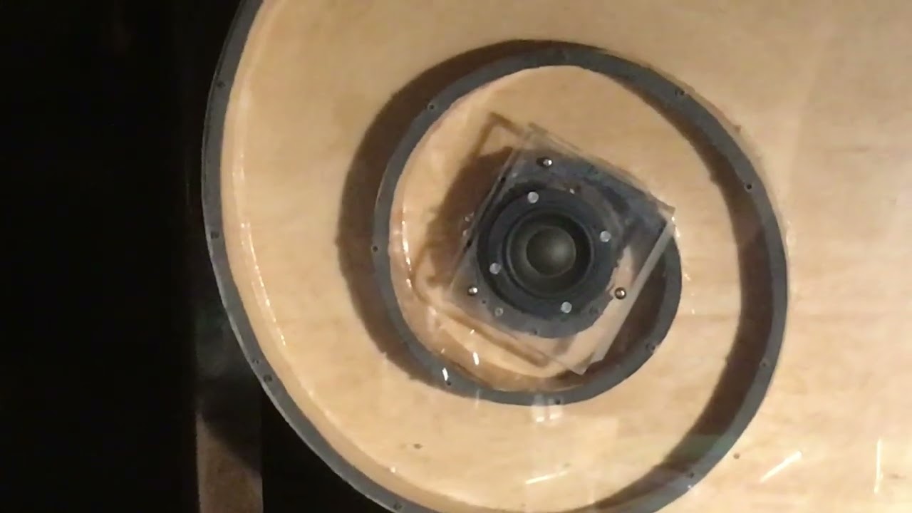 時々聴きたくなる　アンモナイト