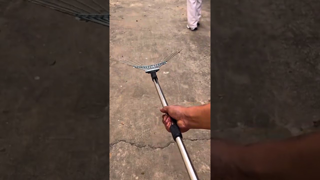 Raking dry autumn leaves on the ground with a garden rake
