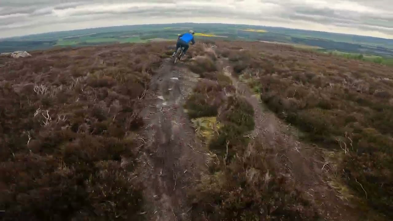 Pitfichie Badgers Box trail