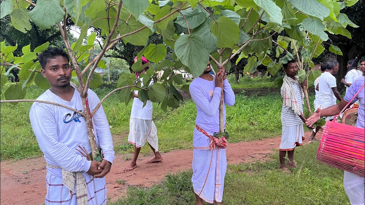 Karam Puja 2025 || Sarubahal (Nuwatola) || 