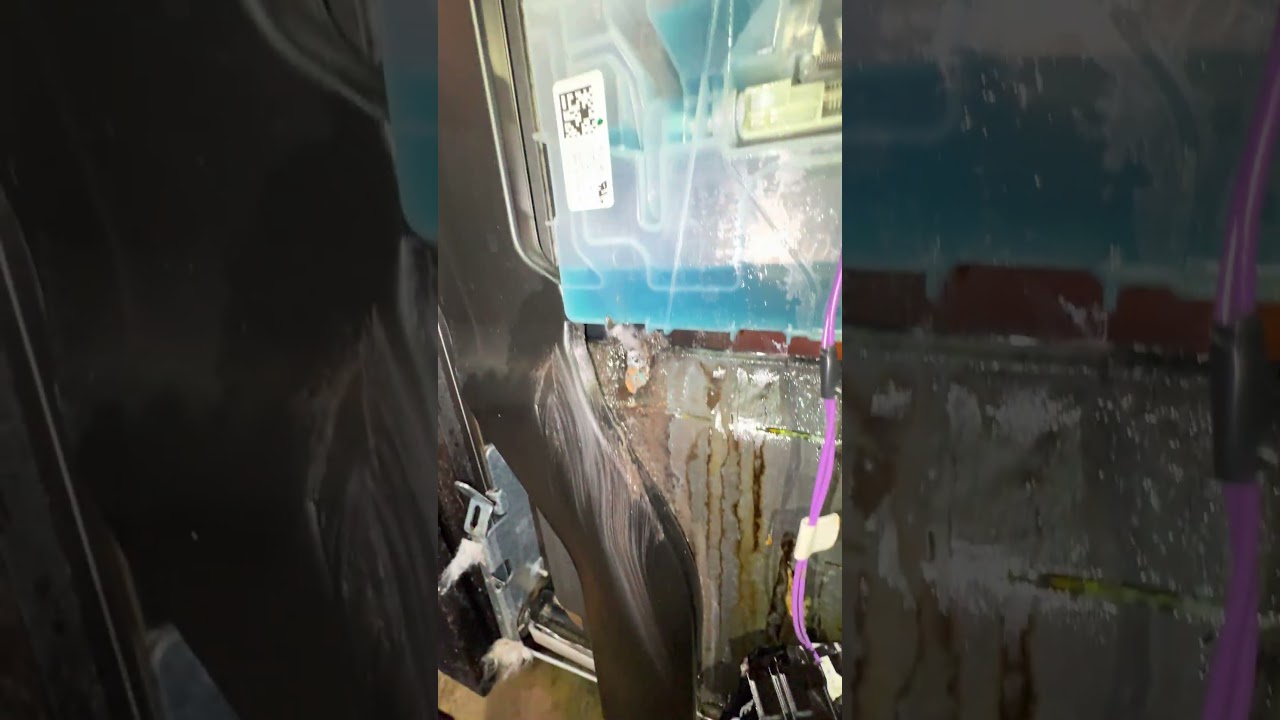 KitchenAid Dishwasher KDPM604KPS1 Leaking in Berryville, VA — Detergent Dispenser Failure
