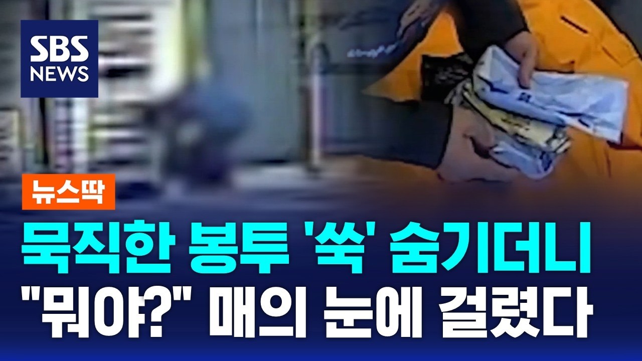 묵직한 봉투 '쑥' 숨기더니…