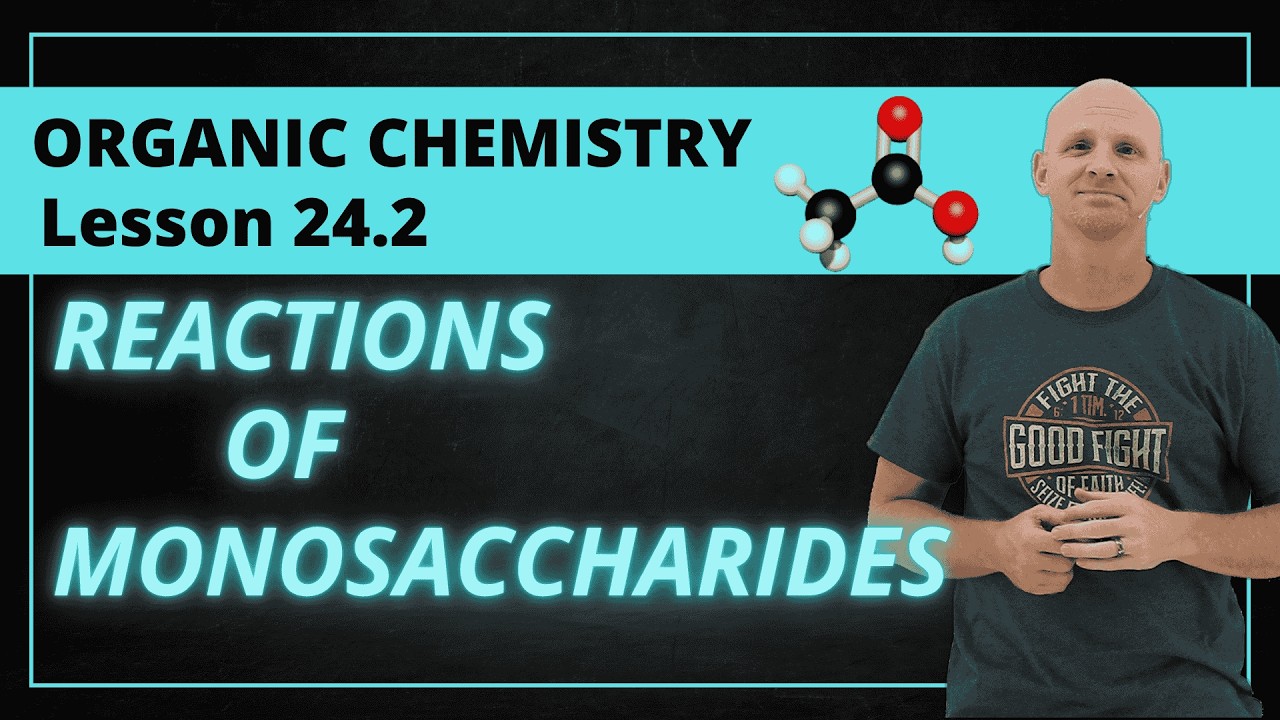 24.2 Reactions of Monosaccharides | Organic Chemistry