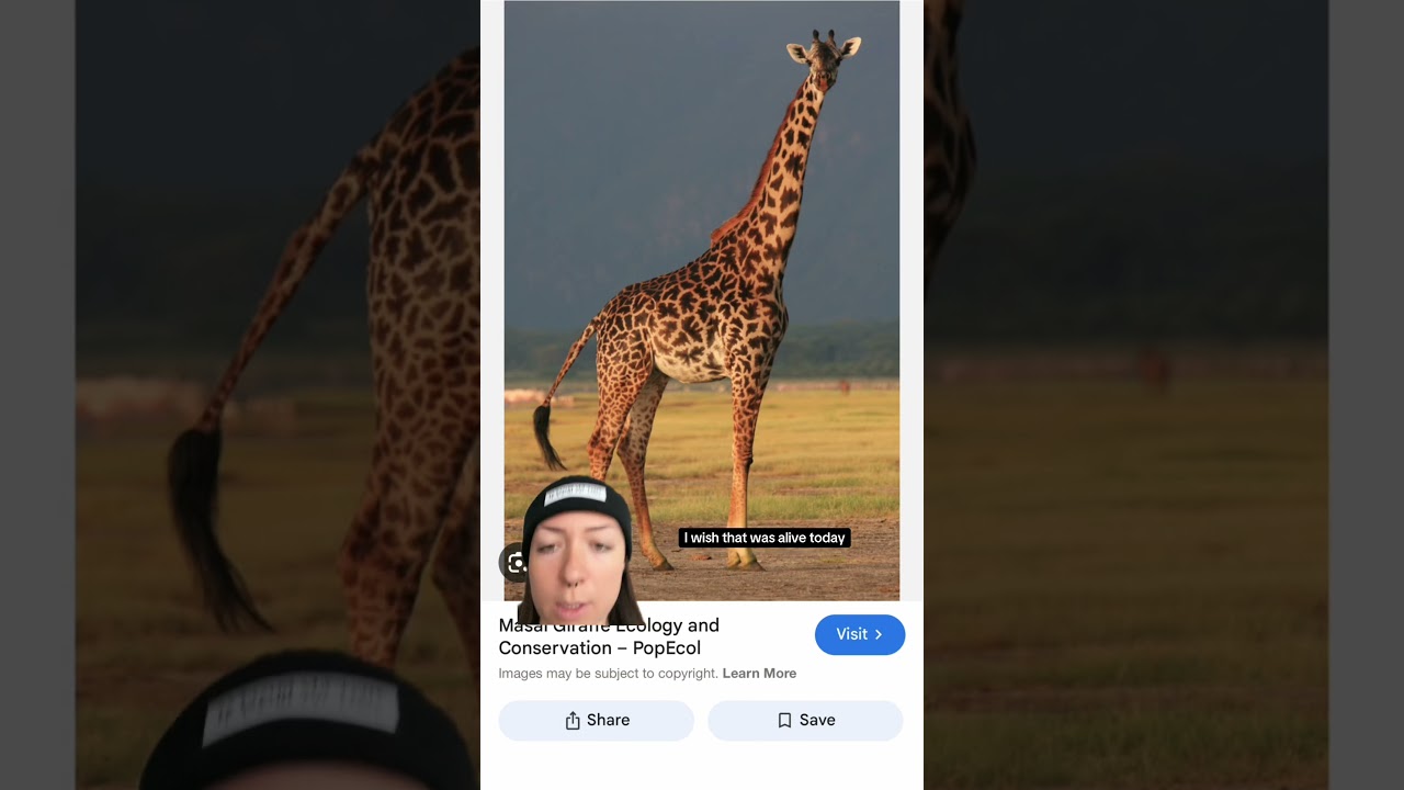 cool animals are cool