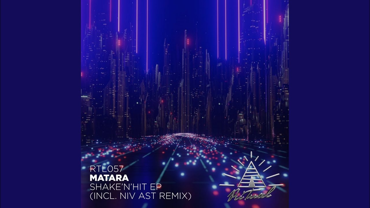 Shake'n'hit (Niv Ast Remix)