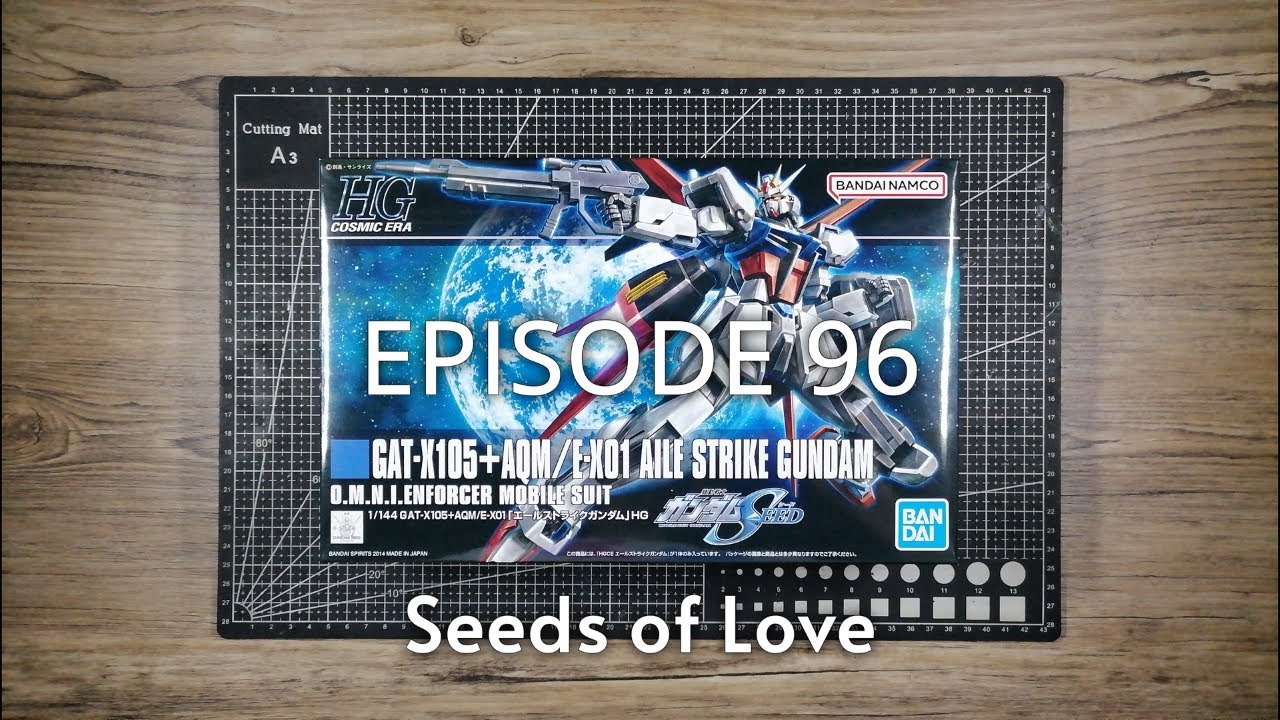 HGCE Aile Strike Gundam Review